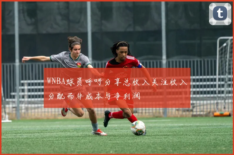 WNBA球员呼吁分享总收入关注收入分配而非成本与净利润