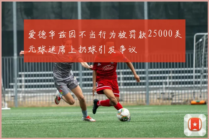 爱德华兹因不当行为被罚款25000美元球迷席上扔球引发争议