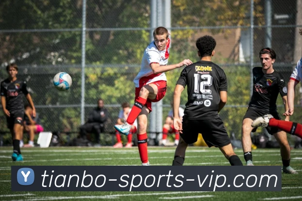 天博体育平台生态图